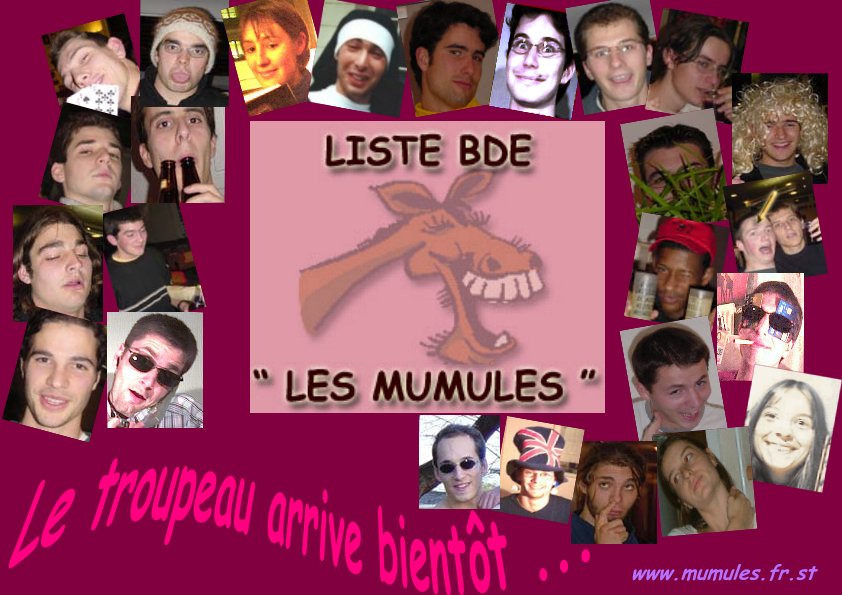 Cliquez comme une mule pour continuer...